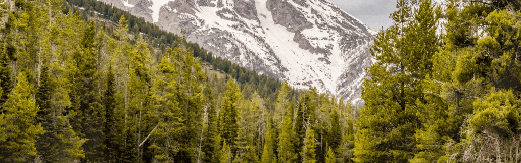 how to start a travel agency in Wyoming with the travel host agency, Travel Agent Pro