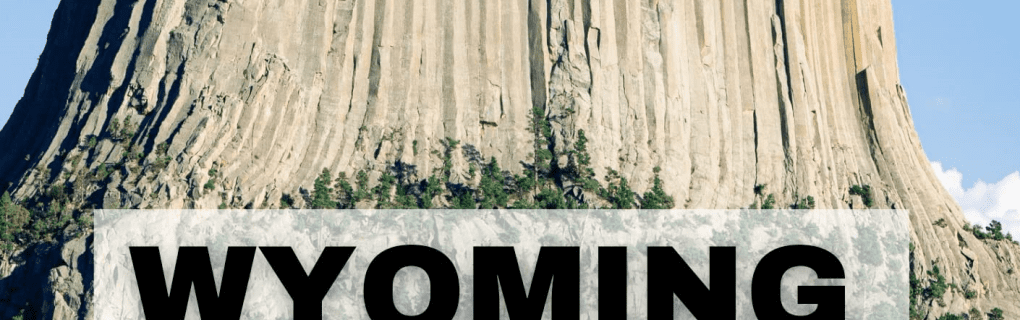 how to start a travel agency in Wyoming with the travel host agency, Travel Agent Pro