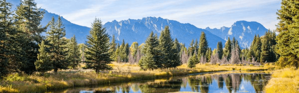 how to start a travel agency in Wyoming with the travel host agency, Travel Agent Pro