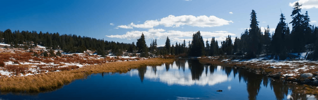 how to start a travel agency in Wyoming with the travel host agency, Travel Agent Pro