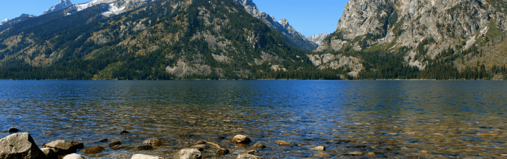 how to start a travel agency in Wyoming with the travel host agency, Travel Agent Pro