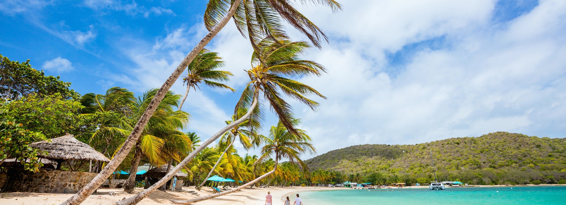 Palm-fringed turquoise Caribbean bay from Princess Cruises showcasing niche destination microsites for experienced travel agents